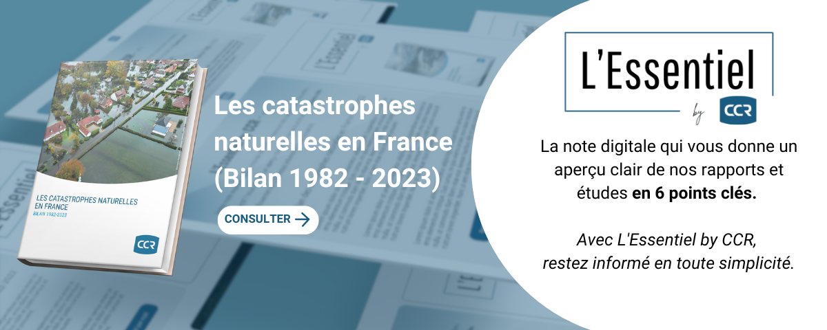 
		CCR publie la 9ème édition de son bilan annuel des catastrophes naturelles en France.
	